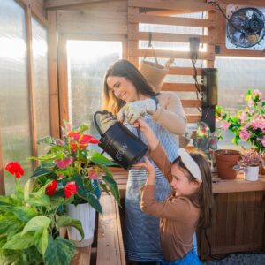9x6 Willow Greenhouse - Image 12