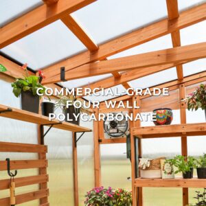 11x7 Poppy Greenhouse - Image 4