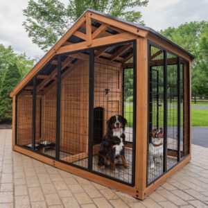 Animal Enclosure