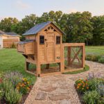Sweetwater Chicken Coop - Brown