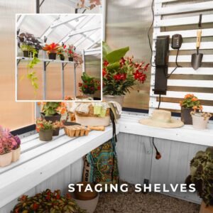 9x6 White Bellerose Greenhouse - Image 7