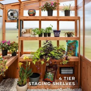 11x7 Poppy Greenhouse - Image 8