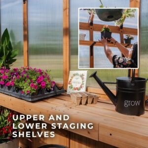 13x11 Bellerose XL Greenhouse - Image 7