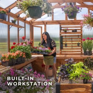 13x11 Bellerose XL Greenhouse - Image 6