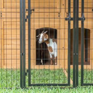 Animal Enclosure XL - Image 6