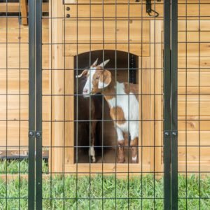 Animal Enclosure - Image 12