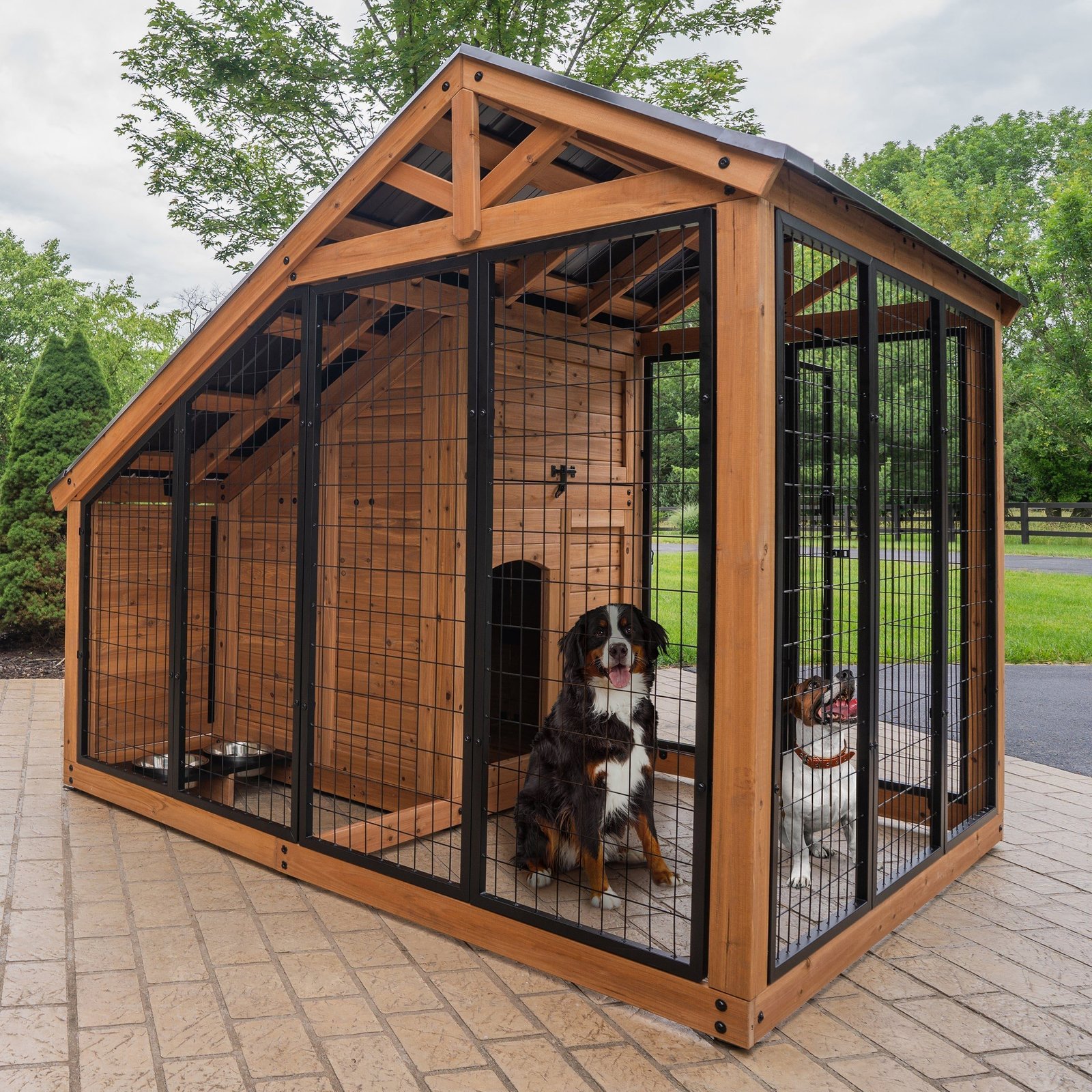 SIZE_AnimalEnclosure_Hero-With-Dogs_v2 Animal Enclosure - Image 1