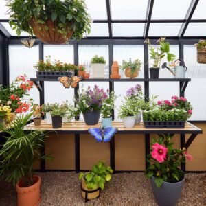 14x12 Larkspur Metal Greenhouse - Image 16