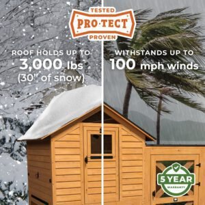 Rustic Roots Chicken Coop - Image 3
