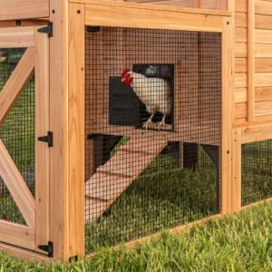 Sweetwater Chicken Coop - Brown - Image 6