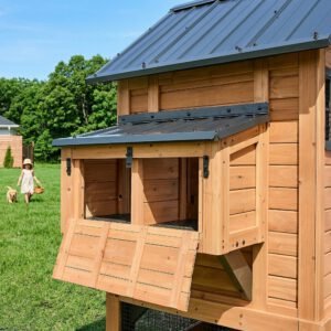 Sweetwater Chicken Coop - Brown - Image 12