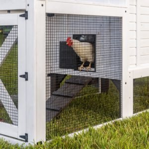 Sweetwater Chicken Coop - Image 6