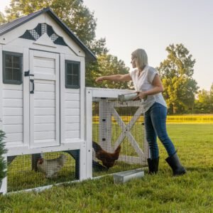 Sweetwater Chicken Coop - Image 15