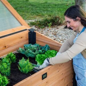 Aggie Cold Frame Box - Image 8