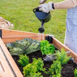 Aggie Cold Frame Box - Image 10