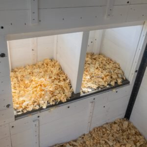 Sweetwater Chicken Coop - Image 10